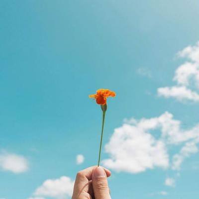 大卡车吃小汽车2